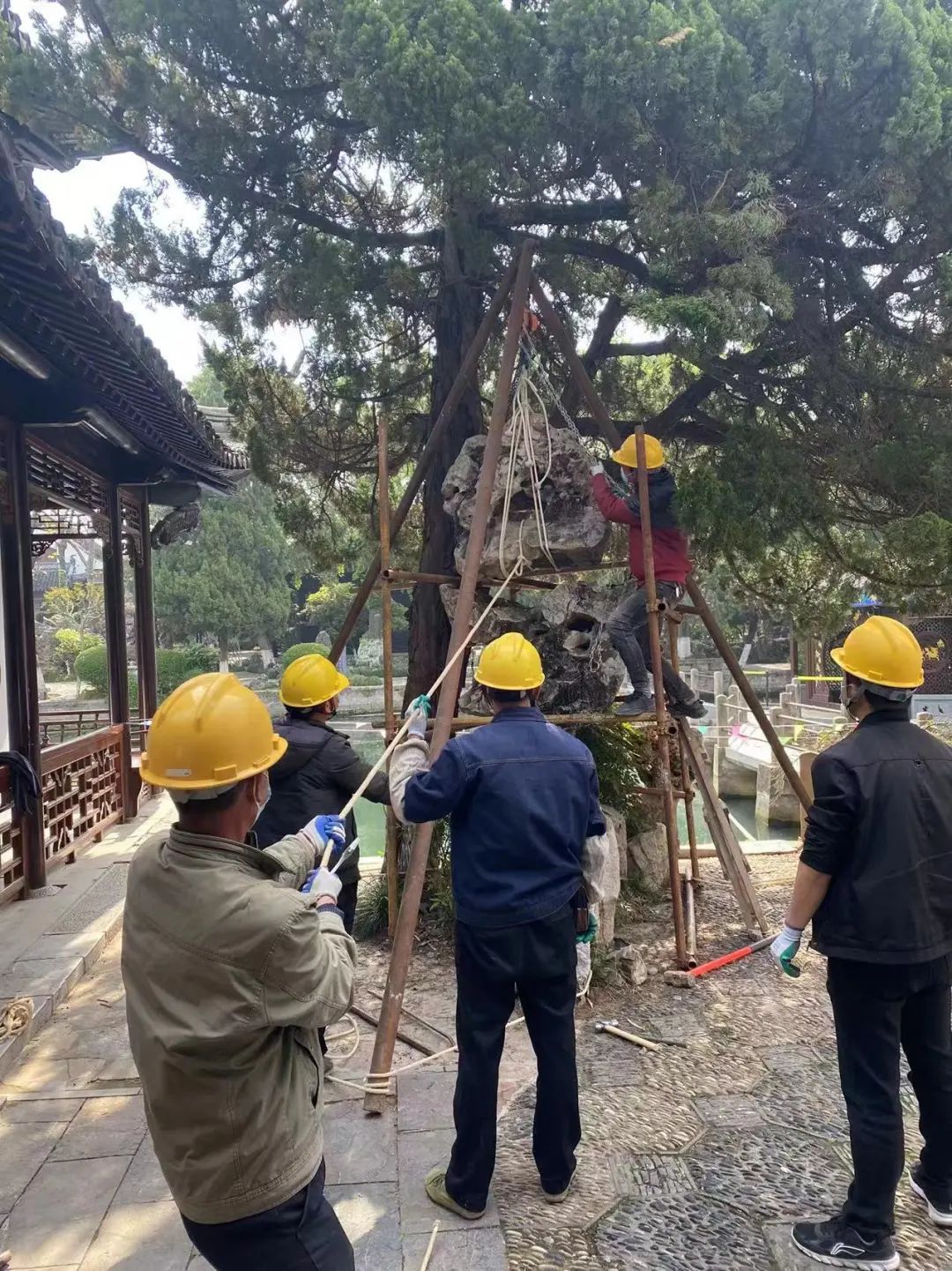 尊龙凯时官网(中国游)人生就是搏!